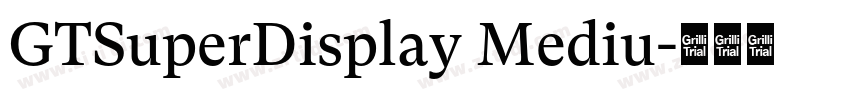 GTSuperDisplay Mediu字体转换